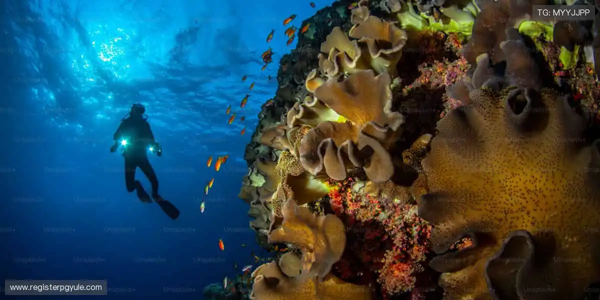 全球赛事,同步开启!🌍🎥 体育直播,打破时空界限!